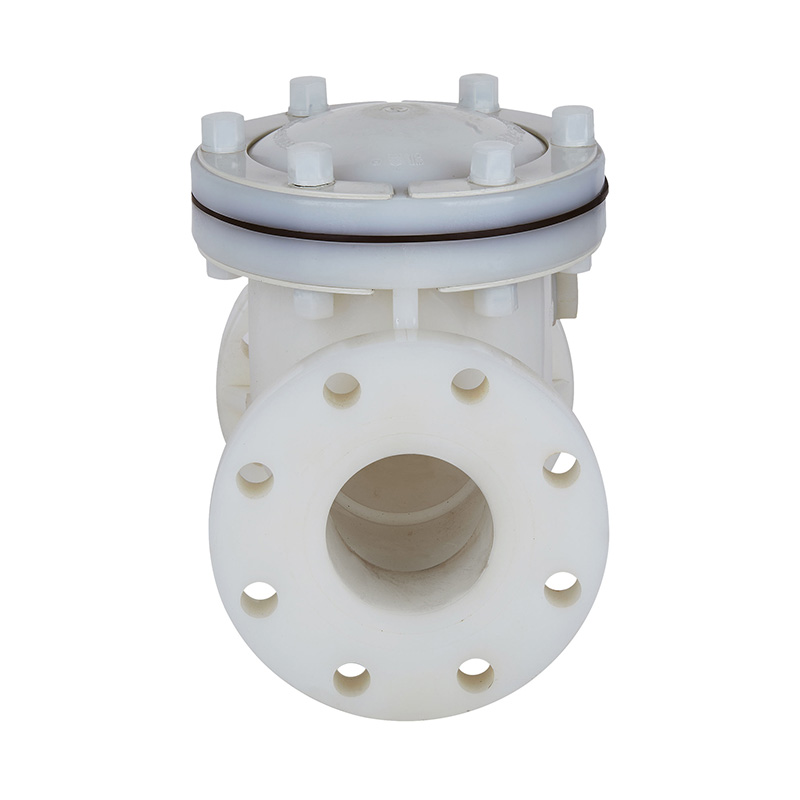 Tipo padrão do balanço de PVDF H44F-10F da válvula de verificação DN15-300 GB