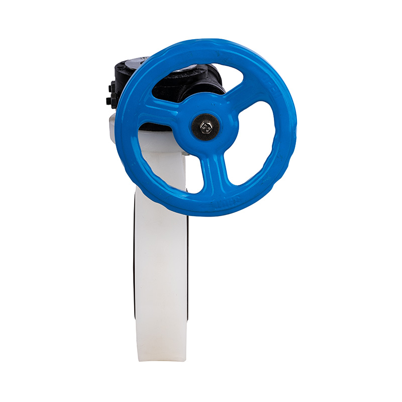 Padrão da válvula borboleta DN40-1000 40A-1000A JIS da Engrenagem Sem-fim de PVDF D371X-10F