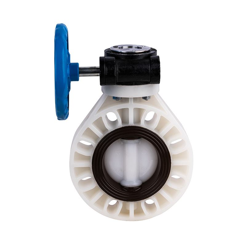 Padrão da válvula borboleta DN40-1000 40A-1000A JIS da Engrenagem Sem-fim de PVDF D371X-10F